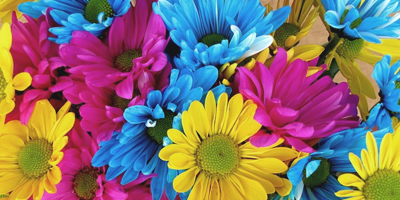 køb polske grøntsagsblomsterfrø i løs vægt